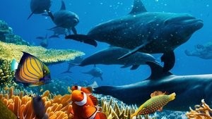 ocean-with-david-attenborough-2025-movie.jpg