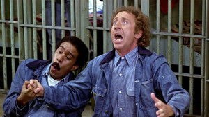stir-crazy-1980-movie.jpg
